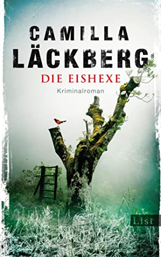 Die Eishexe: Kriminalroman (Ein Falck-Hedström-Krimi 10)