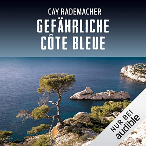 Gefährliche Côte Bleue. Ein Provence-Krimi: Capitaine Roger Blanc 4