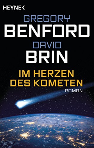 Im Herzen des Kometen: Roman