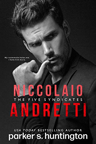 Niccolaio Andretti: An Enemies-to-Lovers Mafia Romance Novel (The Five Syndicates)