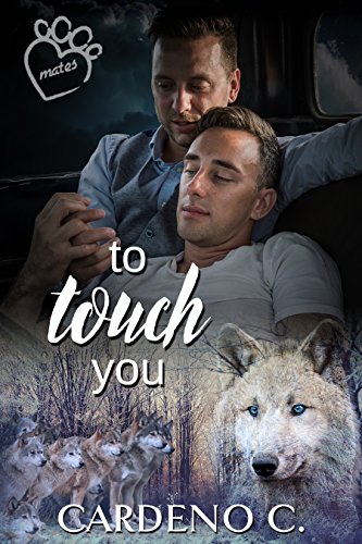 To Touch You (Mates Collection Book 4)