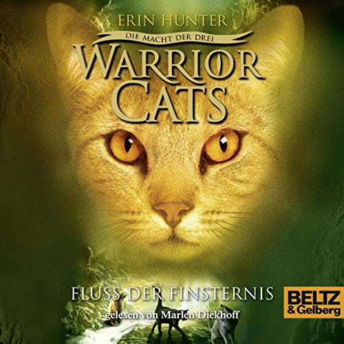 Fluss der Finsternis: Warrior Cats - Die Macht der Drei 2