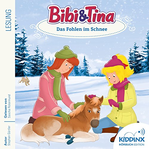 Das Fohlen im Schnee: Bibi und Tina - Hörbuch