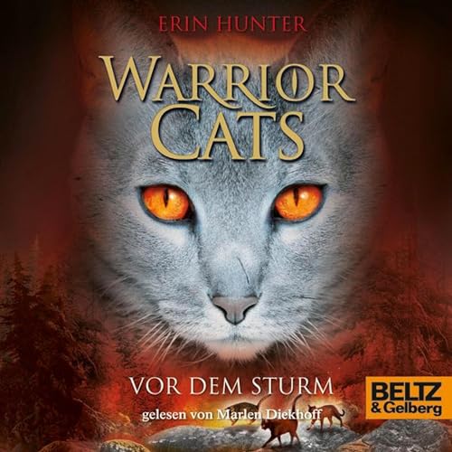 Vor dem Sturm: Warrior Cats 4