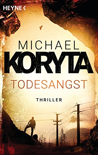 Todesangst: Thriller (Novak-Serie 2)