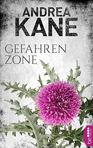 Gefahrenzone (Romantic Suspense der Bestseller-Autorin Andrea Kane 5)
