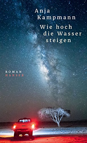 Wie hoch die Wasser steigen: Roman
