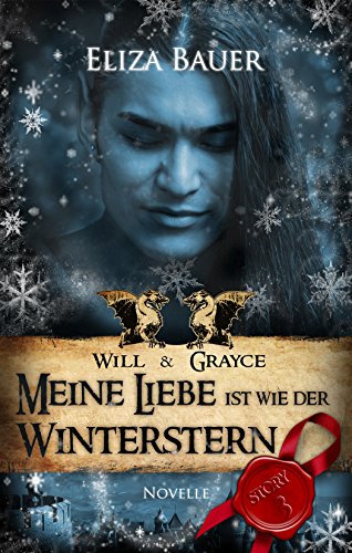 Meine Liebe ist wie der Winterstern: BDSM Gay Fantasy Romance (Will & Grayce 3)