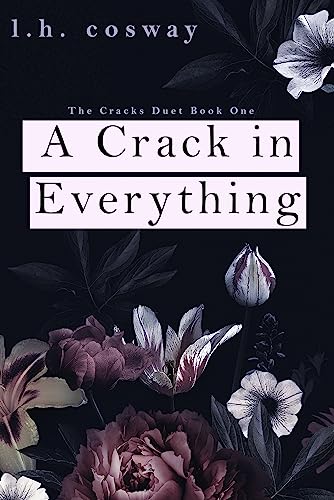 A Crack in Everything (Cracks Book 1)