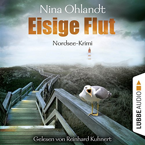 Eisige Flut: Hauptkommissar John Benthien 5
