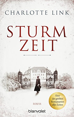 Sturmzeit: Roman (Die Sturmzeittrilogie 1)