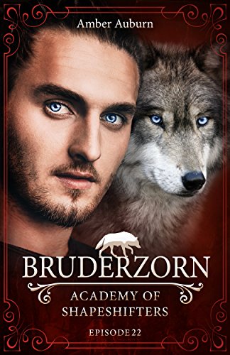 Bruderzorn, Episode 22 - Fantasy-Serie (Academy of Shapeshifters)