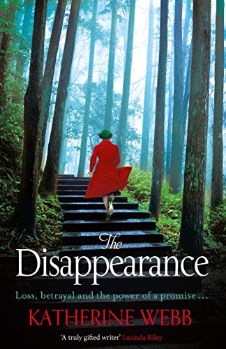 The Disappearance (English Edition)