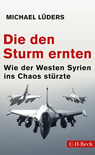 Die den Sturm ernten: Wie der Westen Syrien ins Chaos stürzte (Beck Paperback 6273)