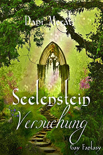 Seelenstein - Versuchung: Gay Fantasy (Seelen-Trilogie 1)
