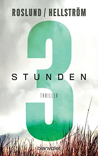 Drei Stunden: Thriller (Piet Hoffmann 3)