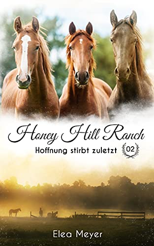 Honey Hill Ranch 02: Hoffnung stirbt zuletzt