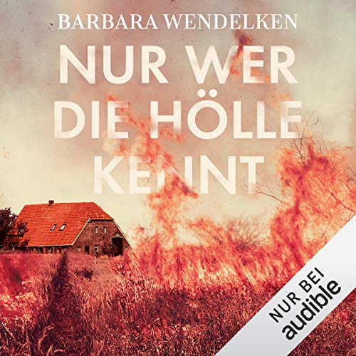 Nur wer die Hölle kennt: Martinsfehn-Krimi 4