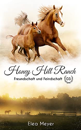Honey Hill Ranch 03: Freundschaft und Feindschaft