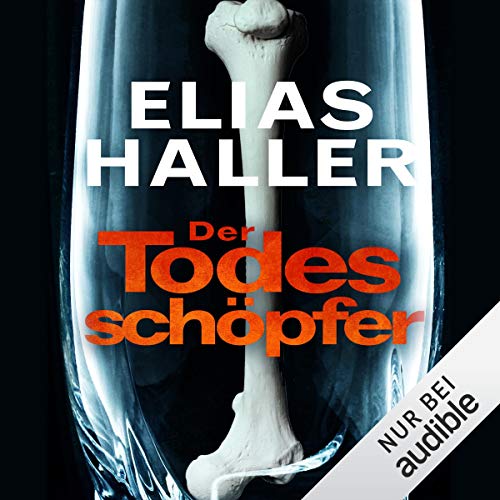 Der Todesschöpfer: Klara Frost 2