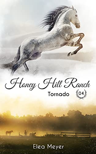 Honey Hill Ranch 04: Tornado