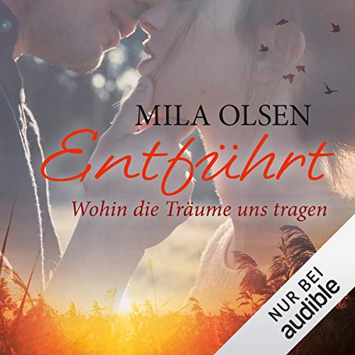 Entführt. Wohin die Träume uns tragen: Louisa & Brendan 4
