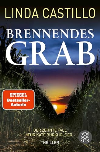 Brennendes Grab: Thriller | Spannender Thriller bei den Amischen (Kate Burkholder ermittelt 10)