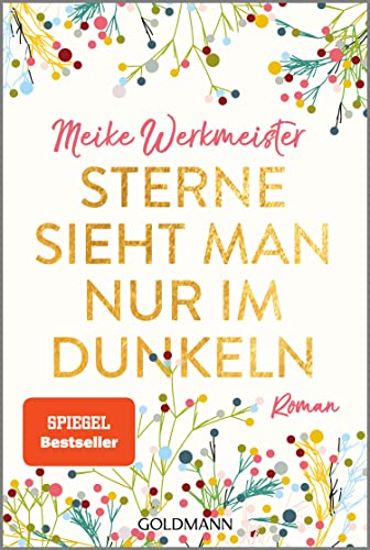 Sterne sieht man nur im Dunkeln: Roman