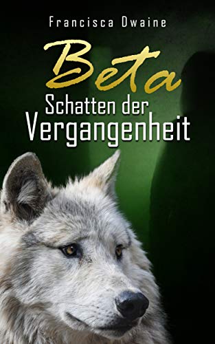 Beta - Schatten der Vergangenheit (Deep Valley 4)