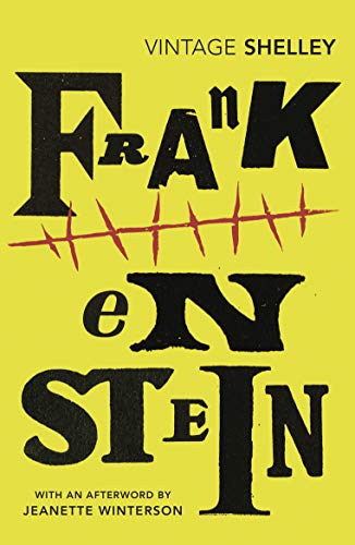 Frankenstein (Vintage Classics)