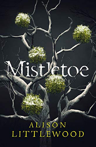 Mistletoe: 'The perfect read for frosty nights' HEAT