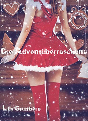 Die Adventüberraschung: eine heiße Weihnachtsnovelle