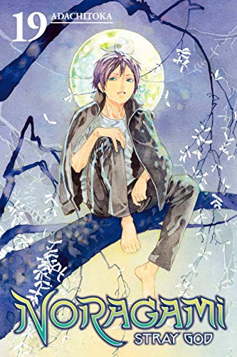 Noragami: Stray God Vol. 19