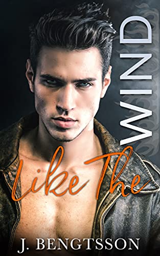 Like The Wind: A Fiery Rock Star Romance (Disaster Love Series Book 1)