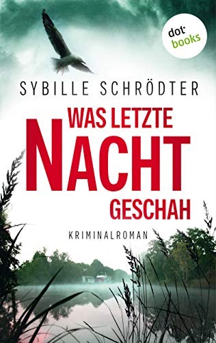 Was letzte Nacht geschah: Kriminalroman