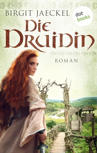 Die Druidin: Historischer Roman
