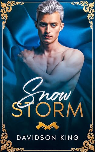 Snow Storm (Haven Hart Book 5)