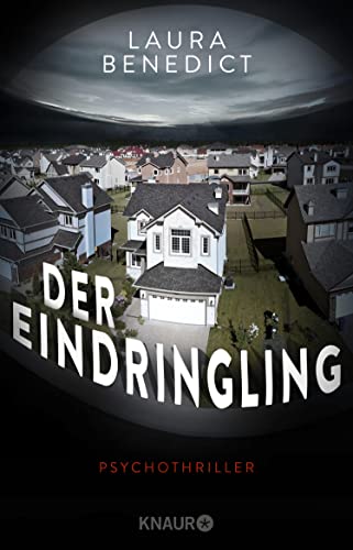 Der Eindringling: Psychothriller