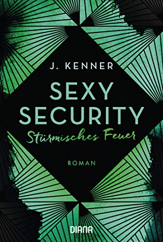 Sexy Security: Stürmisches Feuer - Roman (Stark Security 3)