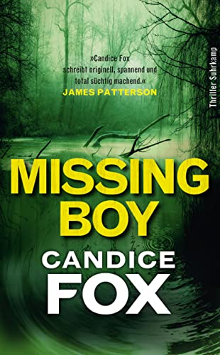Missing Boy: Thriller (Crimson-Lake-Serie 3)