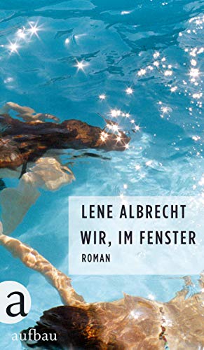 Wir, im Fenster: Roman
