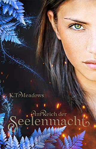 Im Reich der Seelenmacht: Seelenmacht 1