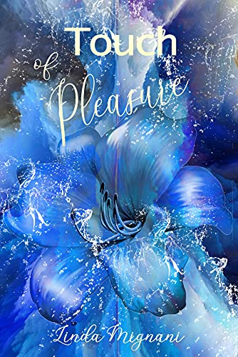 Touch of Pleasure (Touch-Reihe 2)