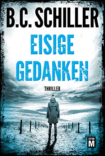 Eisige Gedanken (David Stein 6)