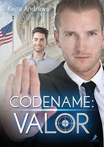 Codename: Valor (Valor-Dilogie 1)