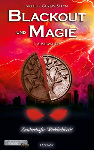 Blackout und Magie 1: Auserwählt (Galduron-Saga)