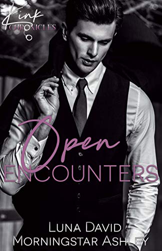 Open Encounters (Kink Chronicles Book 2)