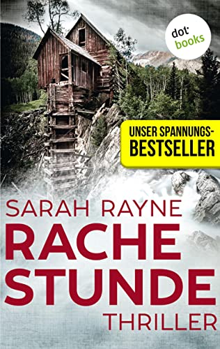 Rachestunde: Thriller