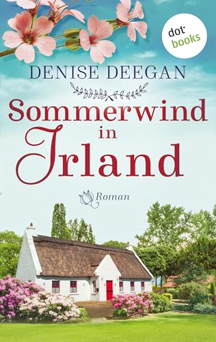 Sommerwind in Irland - oder: Zwischen dir und mir der Himmel: Roman