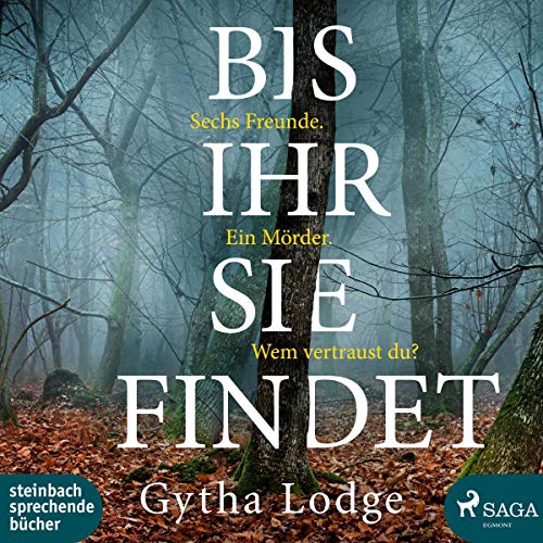 Bis ihr sie findet: Detective Chief Inspector Sheens ermittelt 1